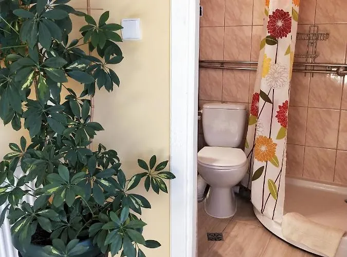 Maryla コウォブジェク